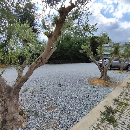Little Star Apartment Ofrinion